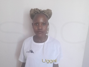Uggal