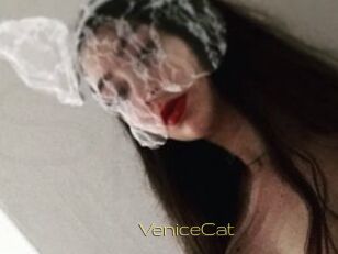VeniceCat