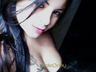 VioleGray