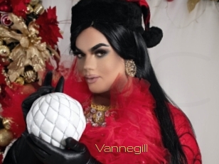 Vannegill