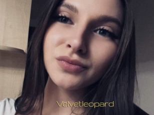 Velvetleopard