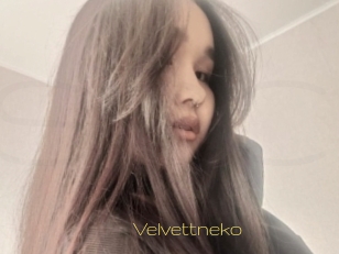 Velvettneko
