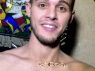 WildDavey
