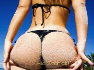 Wild_Orchid18