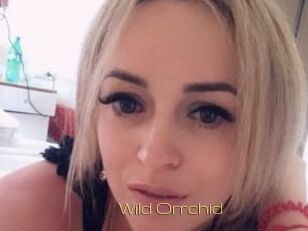 Wild_Orrchid