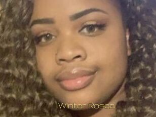 Winter_Rosea