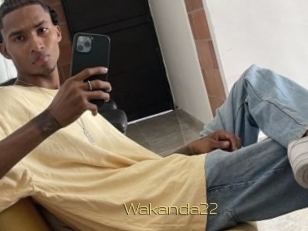 Wakanda22