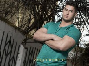 Waynneprice