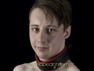 Whippedcreamer