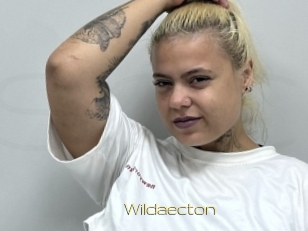 Wildaecton