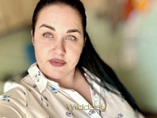 Wilddaisy