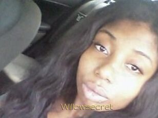 Willow_secret