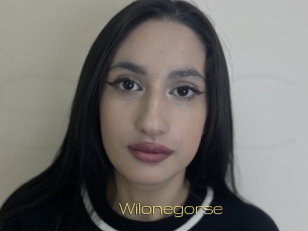 Wilonegorse