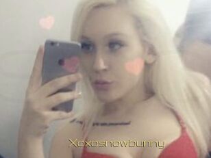 Xoxosnowbunny