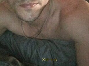 Xebra