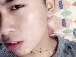 YoungWildCock4u