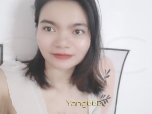 Yang668