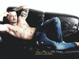 ZECElei