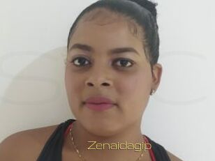 Zenaidagip
