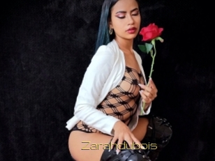 zarahdubois Super Cul