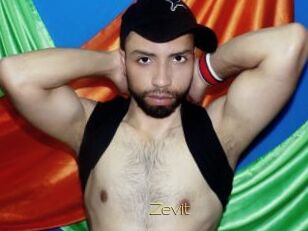 Zevit