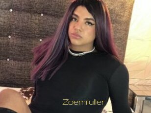 Zoemiiuller